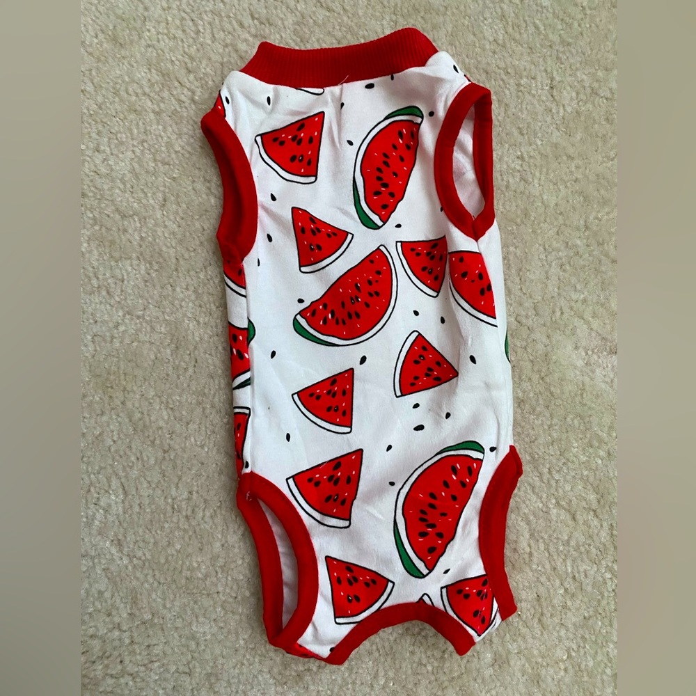 Kitten recovery suit NWOT